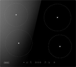 Induktionsfeld Reparatur Lübeck